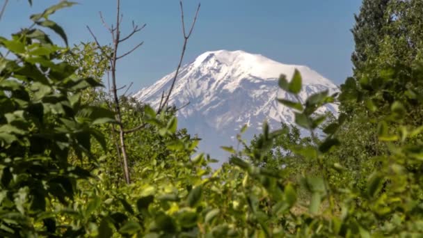 Gran Cima Montaña Ararat 5137 Cubierta Nieve Blanca Través Las Vídeos De Stock Sin Royalties Gratis