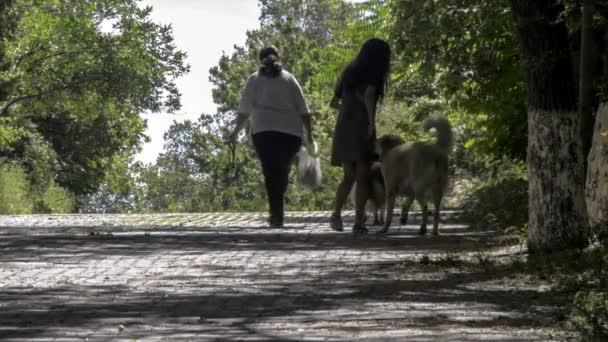 都会の公園で日光に照らされた散歩のために犬を連れて歩く中年の女性と長い髪の少女 — ストック動画