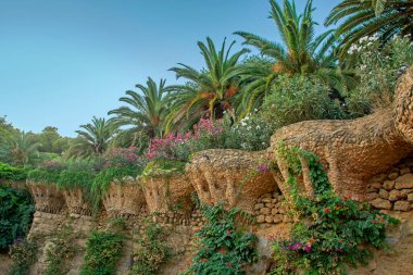 İspanya 'nın Barselona kentindeki ünlü Park Guell' de taş sütunlarda renkli çiçekler yetişiyor. Yeşil palmiye ağaçları, mavi gökyüzü, güzel arka plan
