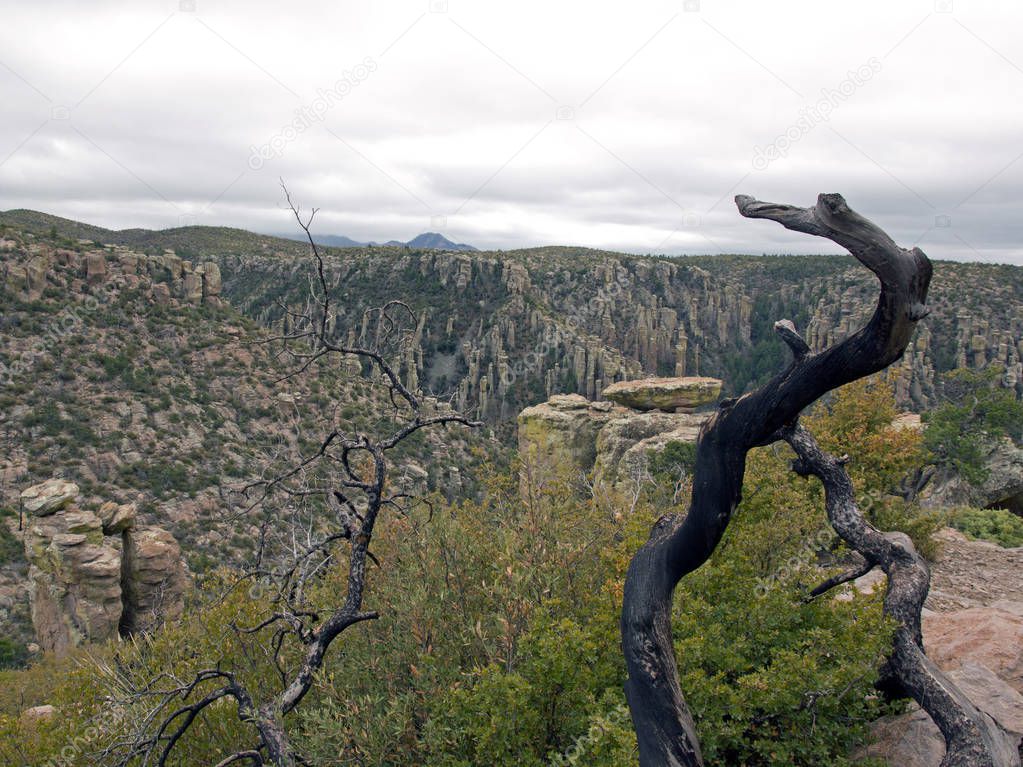 The park of Chiricahua, a day of bad weather - Arizona - the United States