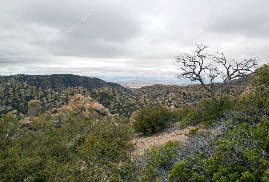 The park of Chiricahua, a day of bad weather - Arizona - the United States