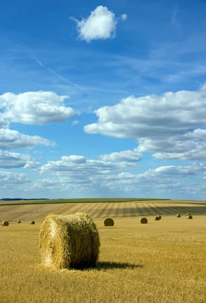 Paquetes Paja Las Llanuras Del Yonne Borgoña Francia — Foto de Stock