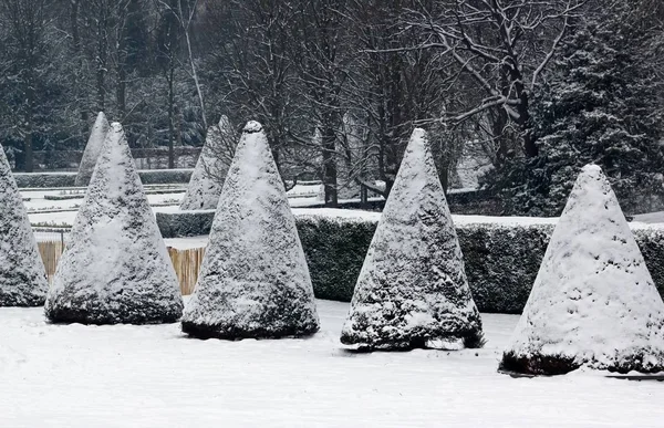 Debaixo Neve Jardim Francês — Fotografia de Stock