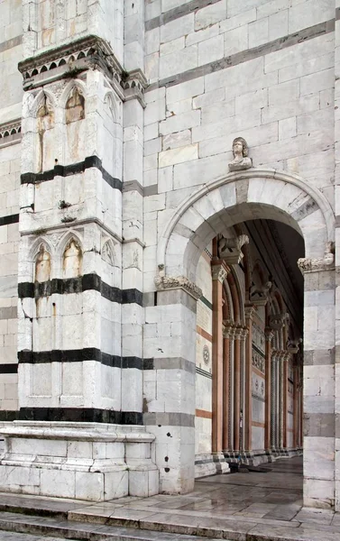 Cathédrale Saint Martin Lucques Lucques Toscane Italie — Photo