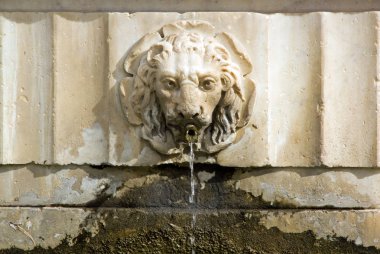 Aslan Bas Rölyef çeşme, Saint-Martin de Lucques (Lucca Toskana İtalya kare)