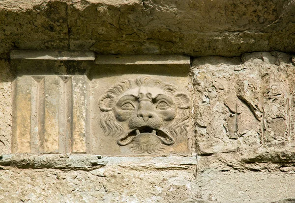 Brunnen Löwe Basrelief Quadratisch Saint Martin Lucques Lucca Toskana Italien — Stockfoto