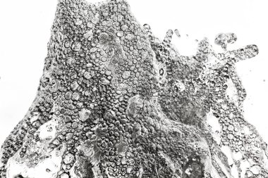 su dans ediyor. Çeşme