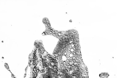 su dans ediyor. Çeşme