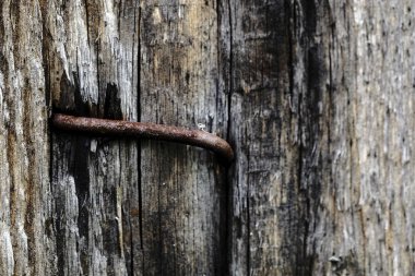 eski bir ahşap soyma yüzeyinde paslı demir çivi. ahşap arka plan