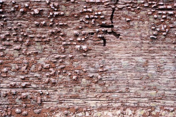 Régi peeling festéket egy fából készült felületre. háttere retro fal festett vörös festékkel — Stock Fotó