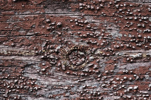 Pintura descascando velha em uma superfície de madeira. fundo da parede retro pintado em tinta vermelha — Fotografia de Stock