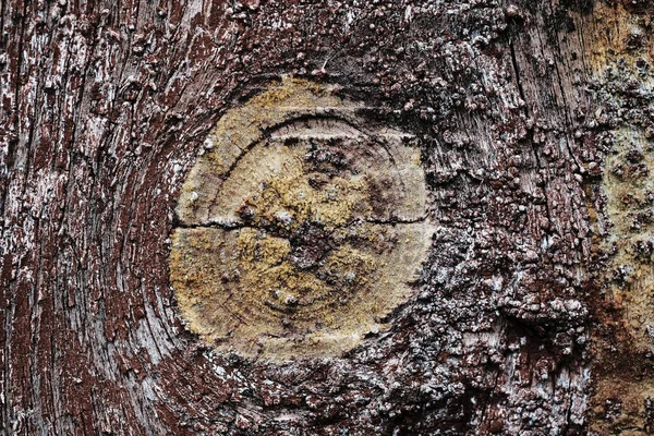 Vecchia vernice peeling su una superficie di legno. sfondo della parete retrò dipinta in vernice rossa — Foto Stock