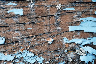 eski bir soyma ahşap yüzey üzerinde yosun. dokusal arka plan