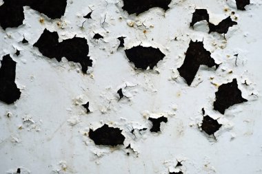 Eski soyma boyası. Ahşap doku. arkaplan