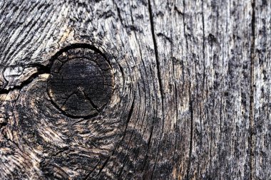 Eski ahşap bir yüzeyde düğümler. Ahşap doku. arkaplan.