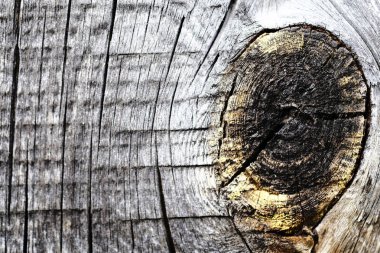 Eski ahşap bir yüzeyde düğümler. Ahşap doku. arkaplan.