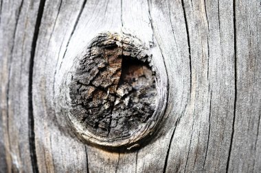 Eski ahşap bir yüzeyde düğümler. Ahşap doku. arkaplan.