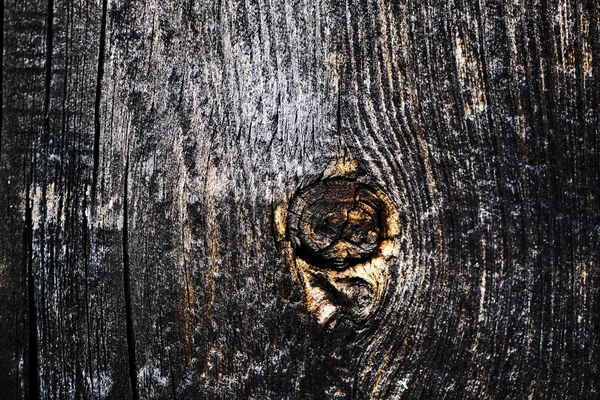 Knots on an old wooden surface. wood texture. the background. — Stock Photo, Image