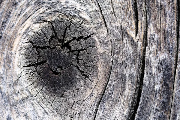 古い木の表面に結び目木の質感背景には. — ストック写真