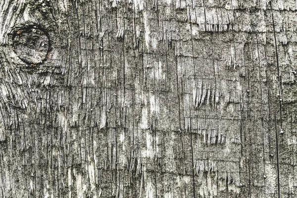 Simpul pada permukaan kayu tua. tekstur kayu. latar belakang . — Stok Foto