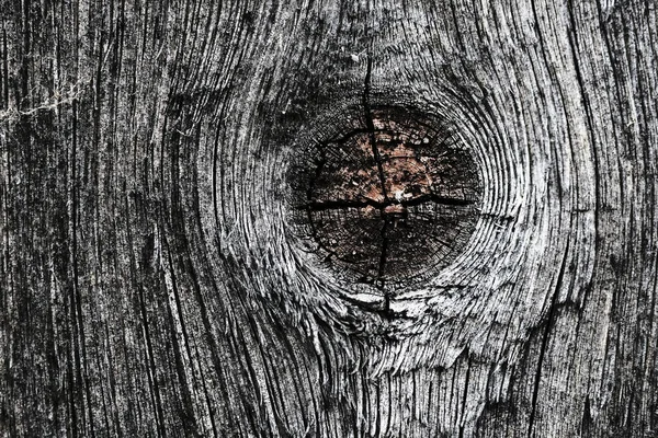 Nodi su una vecchia superficie di legno. texture in legno. lo sfondo . — Foto Stock