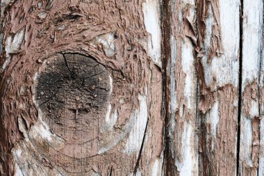 Eski ahşap bir yüzeyde düğümler. Ahşap doku. arkaplan.