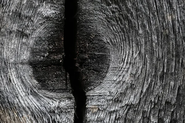 Nós em uma superfície de madeira velha. textura de madeira. os antecedentes . — Fotografia de Stock