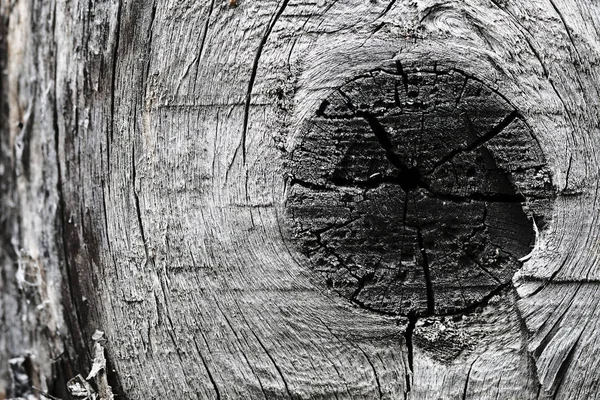 Knopen op een oud houten oppervlak. hout textuur. de achtergrond. — Stockfoto