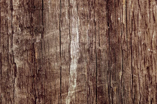Old wooden surface. wood texture. the background. — Stock Photo, Image
