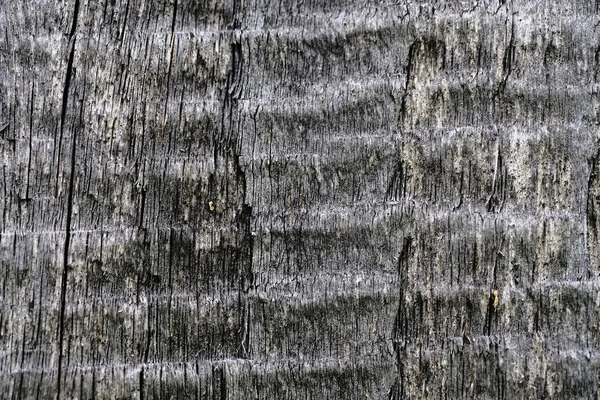 Vecchia superficie di legno. texture in legno. lo sfondo . — Foto Stock