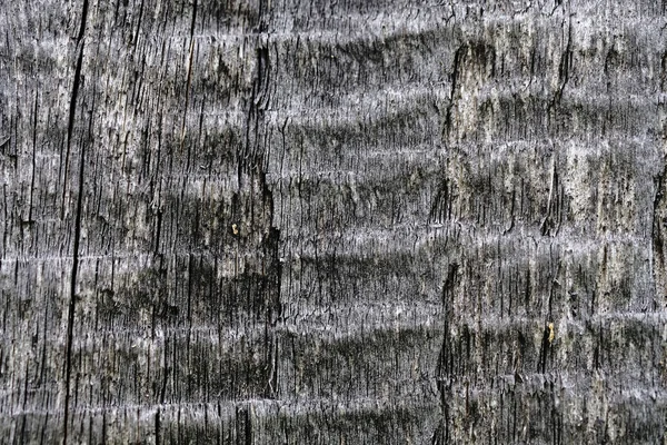 Old wooden surface. wood texture. the background. — Stock Photo, Image