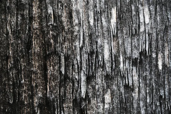 Superfície de madeira velha. textura de madeira. os antecedentes . — Fotografia de Stock