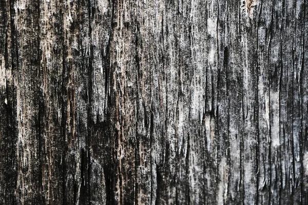 오래 된 나무 표면. 목재 질감. 배경. — 스톡 사진