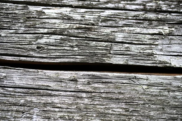 Musgo em uma superfície de madeira velha. fundo da parede retro. — Fotografia de Stock