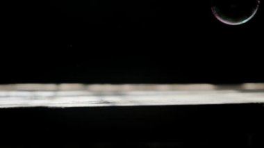 Güzel pembe devedikeni yaprakları rüzgarda sallanıyor. kireç bulanık arkaplan