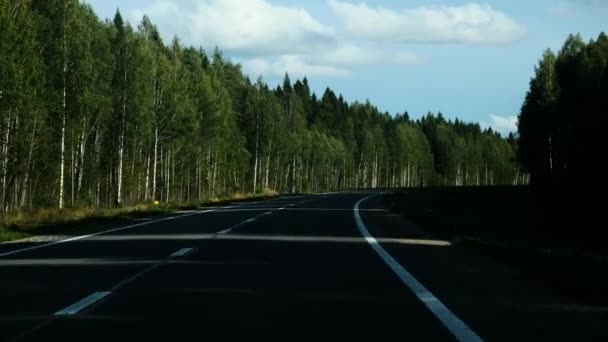 Красиві Яскраво Рожеві Пелюстки Розторопші Сідають Вітер Лайм Розмитий Фон — стокове відео