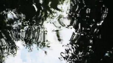 Güzel pembe devedikeni yaprakları rüzgarda sallanıyor. kireç bulanık arkaplan