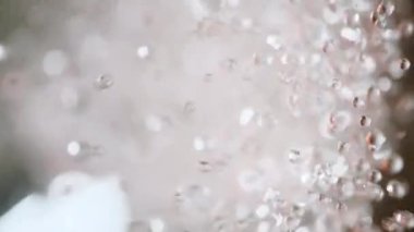 Güzel pembe devedikeni yaprakları rüzgarda sallanıyor. kireç bulanık arkaplan