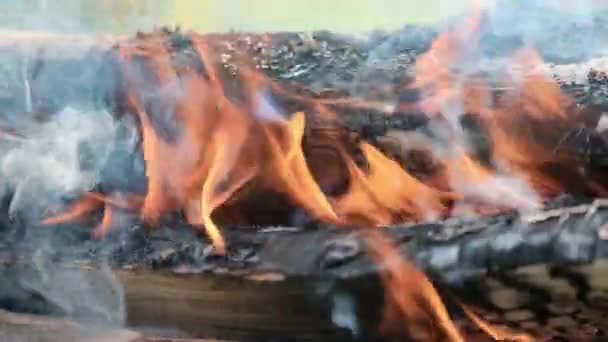 Vackra Ljusa Rosa Tistel Kronblad Svajar Vinden Kalk Suddig Bakgrund — Stockvideo