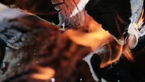 de beaux pétales de chardon rose vif se balancent dans le vent. fond flou citron vert 