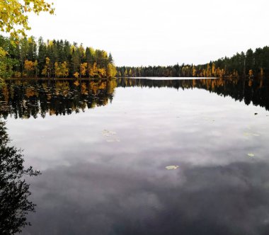 Huzurlu sonbahar manzarası muhteşem bir meşe ağacını gösteriyor. Parkta renkli yapraklarla, yumuşak ışıkla, geniş formatla.