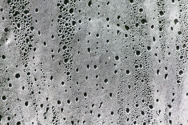Wet transparent polyethylene film with droplets of water after rain. Water drops closeup. Wet smooth plastic surface texture. Rainy background. Grey tones backdrop. Rain weather abstract background