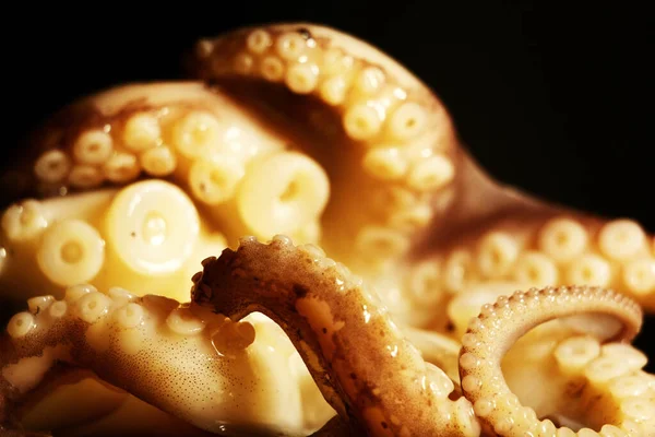 Delicious Octopus Prepared Cooked Gray Bowl Black Background Horizontal Format — Stock Photo, Image