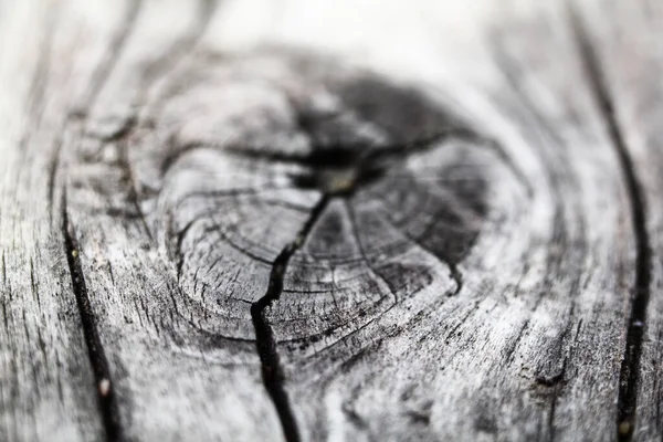 Old Textured Wood Planks Bitch Closeup Background Natural Patterns Wood — Stock Photo, Image