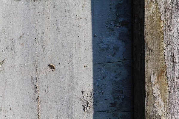 gray wood texture with cracked paint