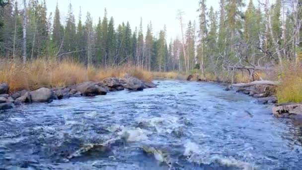 Seuil d'une rivière de montagne par une journée ensoleillée dans les montagnes — Video