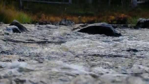 Seuil d'une rivière de montagne par une journée ensoleillée dans les montagnes — Video