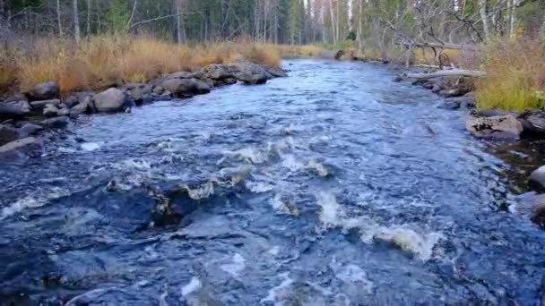 Petite rivière rocheuse peu profonde avec des rapides et des chutes d'eau coule dans les montagnes. ralenti — Video