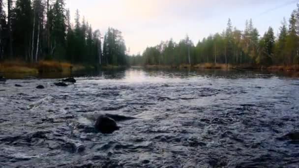 Pequeño y poco profundo río rocoso con rápidos y cascadas fluye en las montañas. lentitud — Vídeo de stock