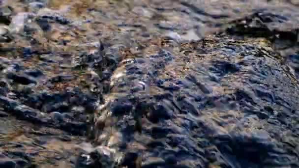 Piccolo e poco profondo fiume roccioso con rapide e cascate scorre in montagna. rallentamento — Video Stock